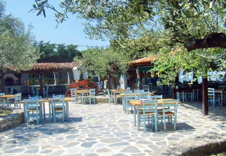 Toroneos Hotel 2* +.  Греция,  Халкидики,  Ситония. Отдых в Греции. Цены