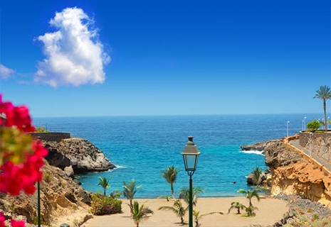 Тенерифе!!! Семейный отдых на Канарских Островах в Испании от 699 € с АВИА