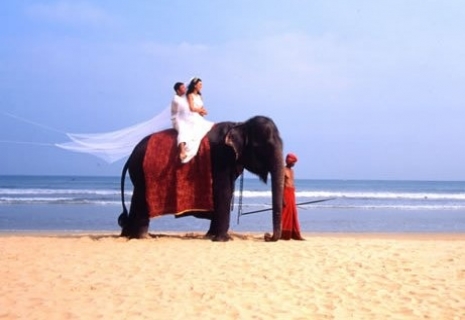 Шри-Ланка, Свадебная церемония на Шри-Ланке +  Отдых на Шри-Ланке от 880 у.е.
