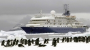 Круиз Арктика 2015. Экспедиция на Судне класса люкс «Sea Spirit»14 дней от 6 490 $